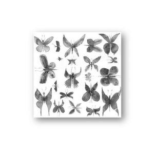 Bardelli Decoro Papillon cm. 20x20